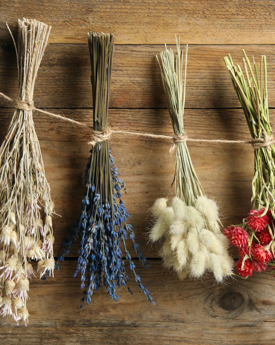 Модный тренд в вашем саду и доме: какие сухоцветы проще всего вырастить и как это сделать