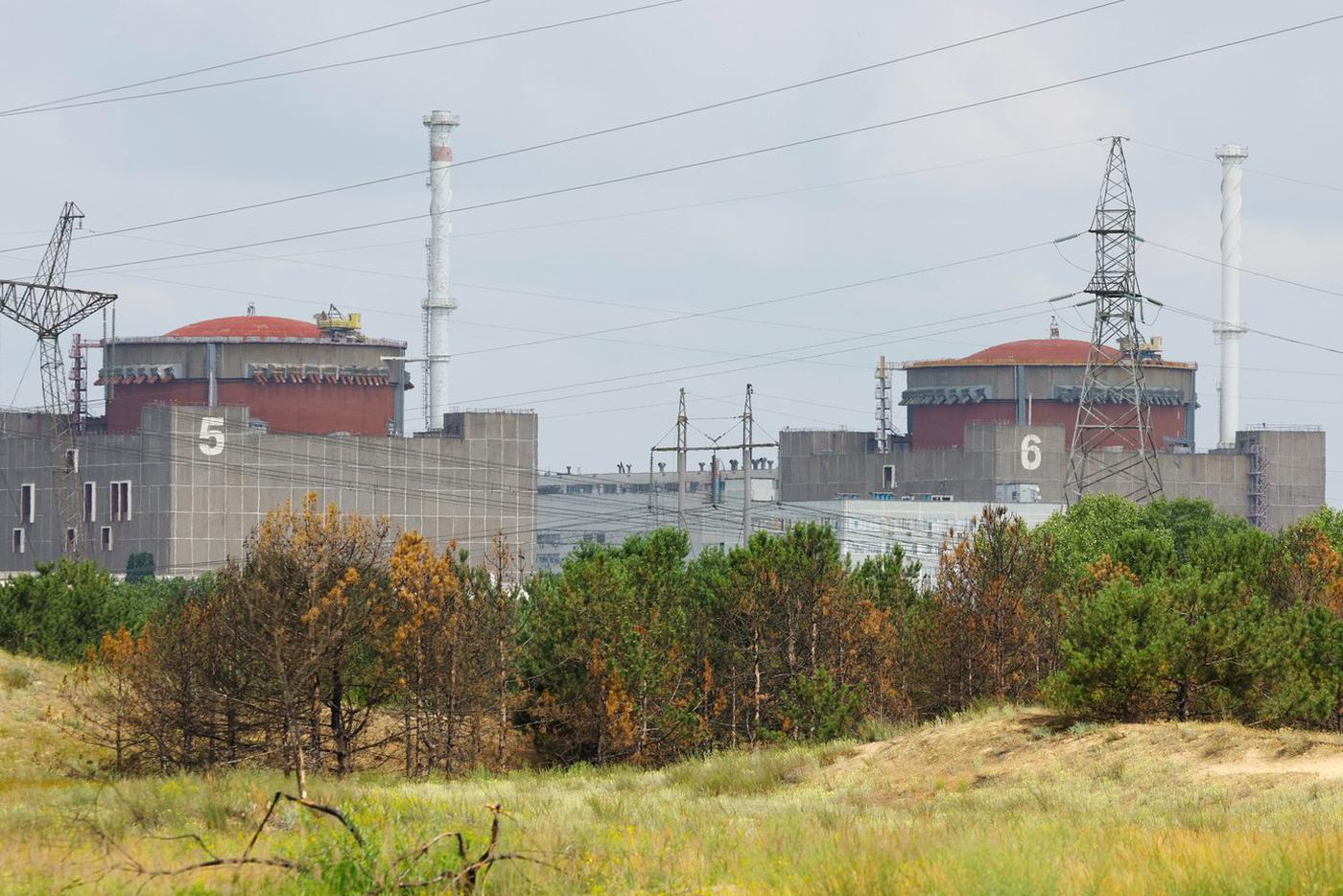 Министр обороны Великобритании заявил, что процедуру принятия Украины в НАТО стоит упростить