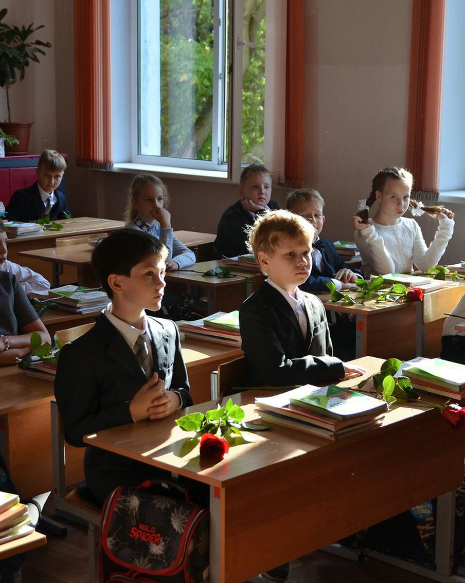 В России будут единые образовательные стандарты: они будут введены 1 сентября