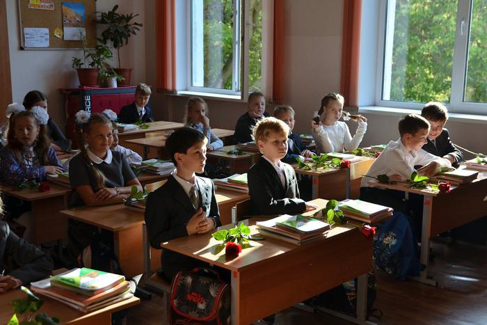 В России будут единые образовательные стандарты: они будут введены 1 сентября