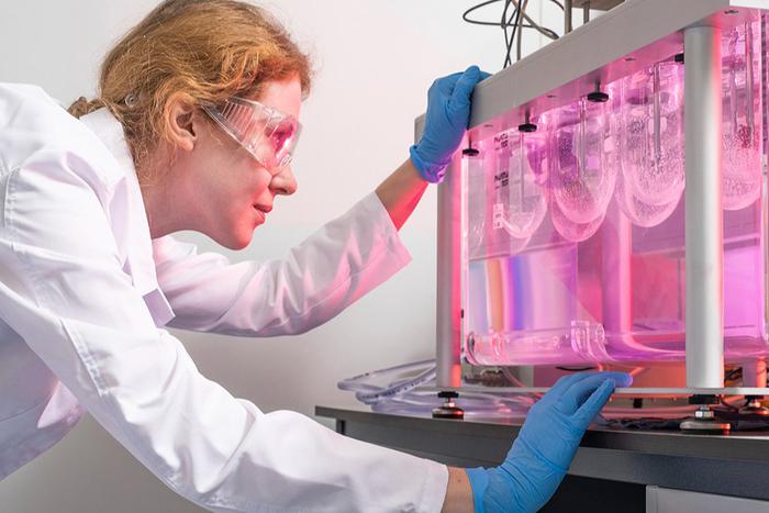 Столичные изобретатели до 35 лет получают все возможности для работы и развития