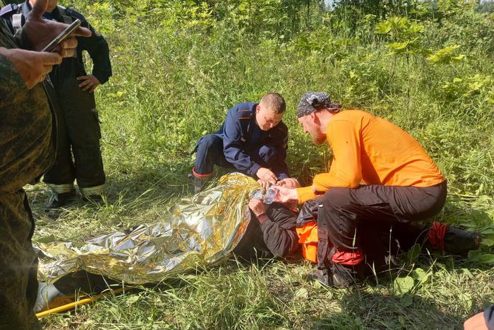 Ушёл по грибы и не вернулся: как искали пенсионера, пропавшего в подмосковном лесу