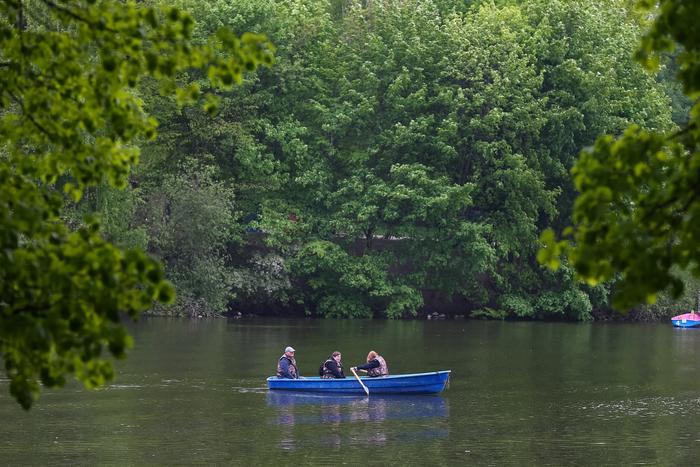 Парк "Кузьминки" будет восстановлен по просьбе местных жителей