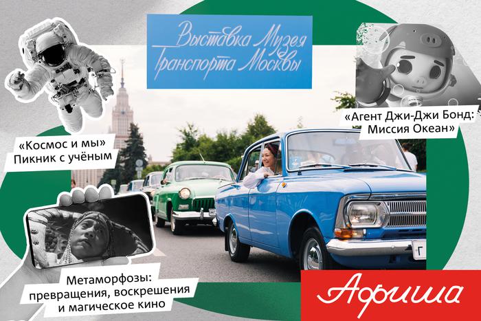 Чем заняться в столице: отправиться на пикник с учёным или на цветочное чаепитие