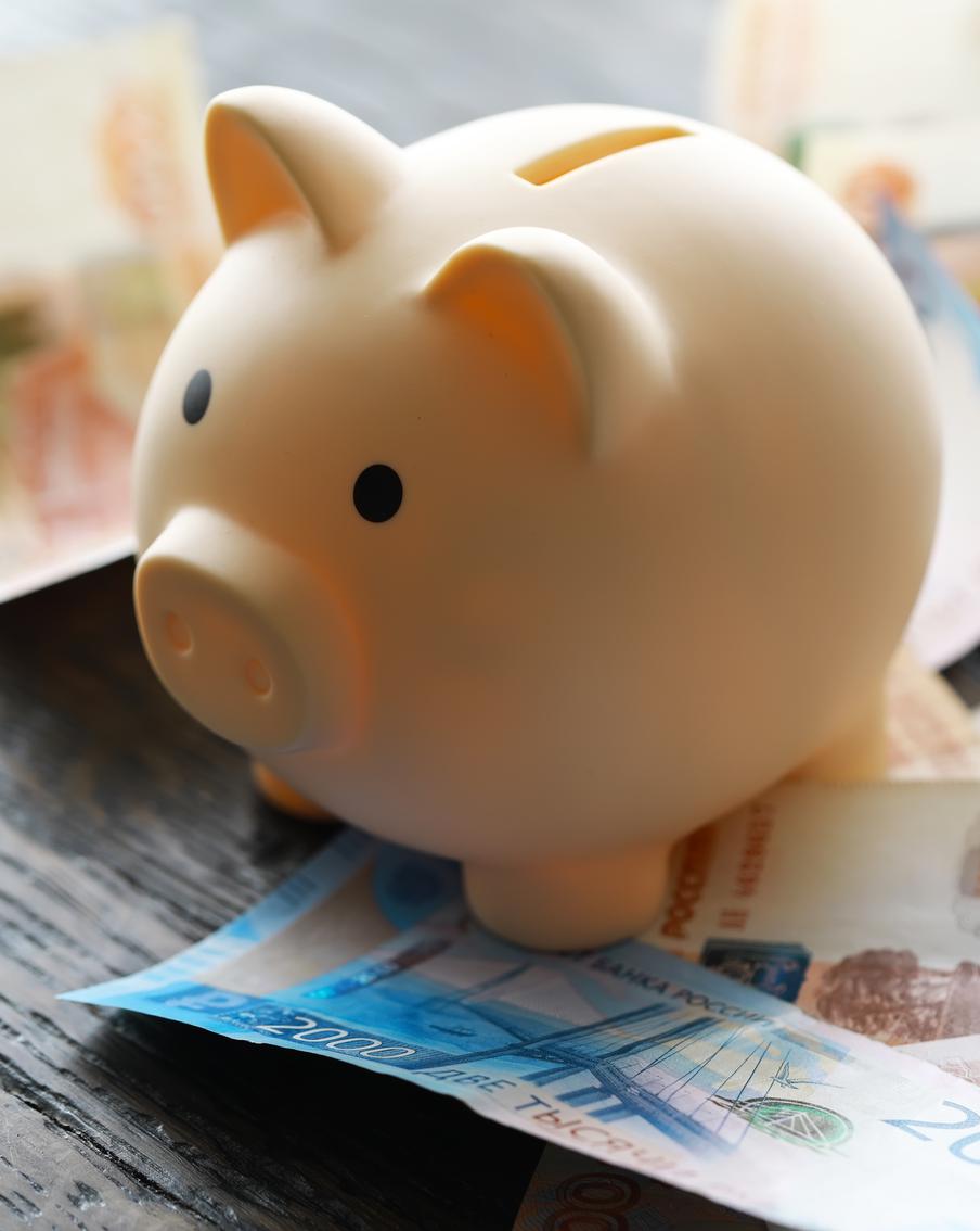 В Росси заработает программа долгосрочных сбережений граждан: участие в ней добровольное, срок договора от 15 лет