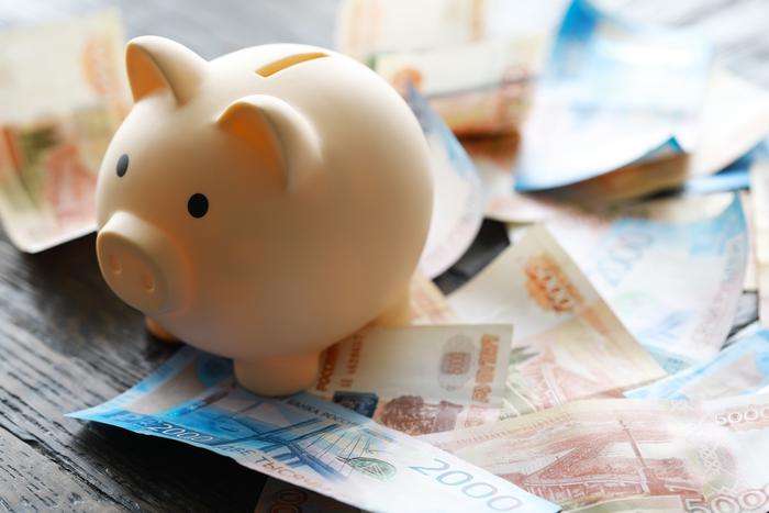 В Росси заработает программа долгосрочных сбережений граждан: участие в ней добровольное, срок договора от 15 лет