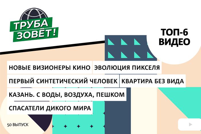 Новые визионеры кино, кто построил секретную комнату в Эйфелевой башне и истории животных, которые спасли людям жизнь