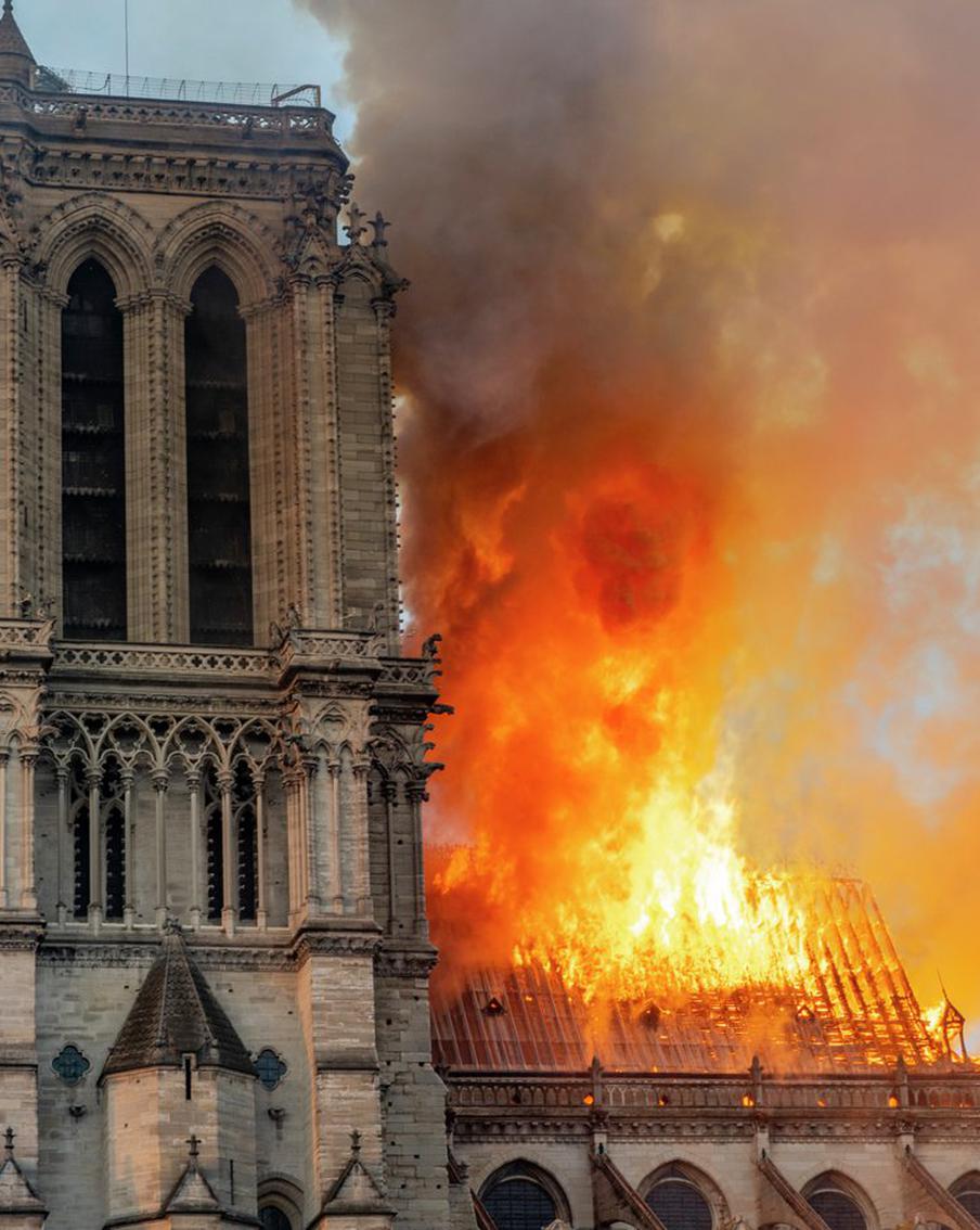 На Нотр-Даме вырастет лес: к собору по реке приплыли балки для крыши