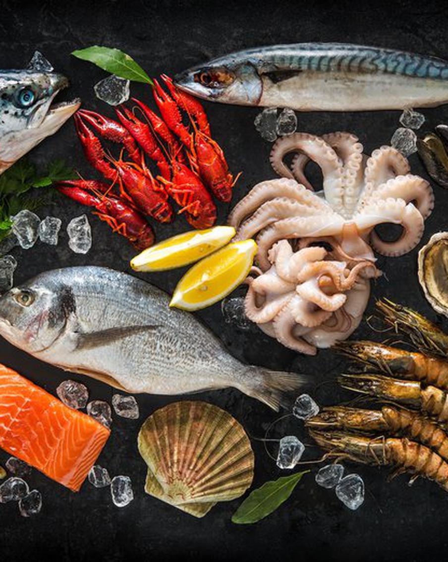 Рыба пикша – пища наша: что даст здоровью питание исключительно морскими гадами и рыбой