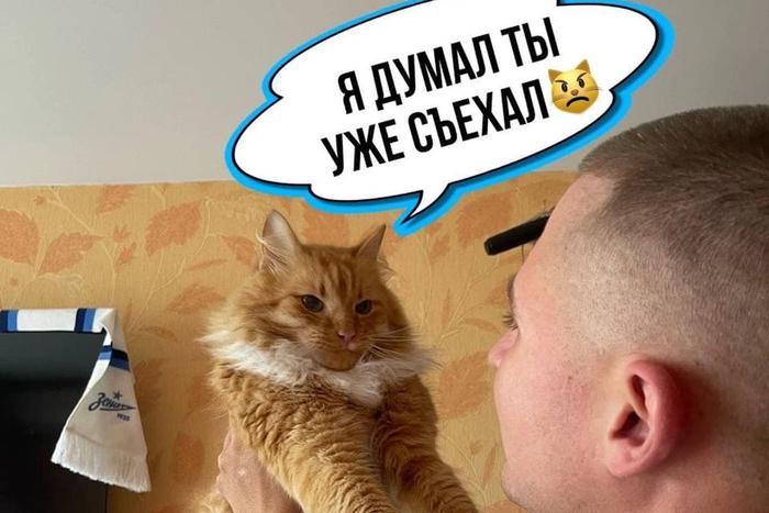 Кот в домике, не пытайтесь проникнуть! Чтобы попасть в свою квартиру, людям пришлось вызывать спасателей