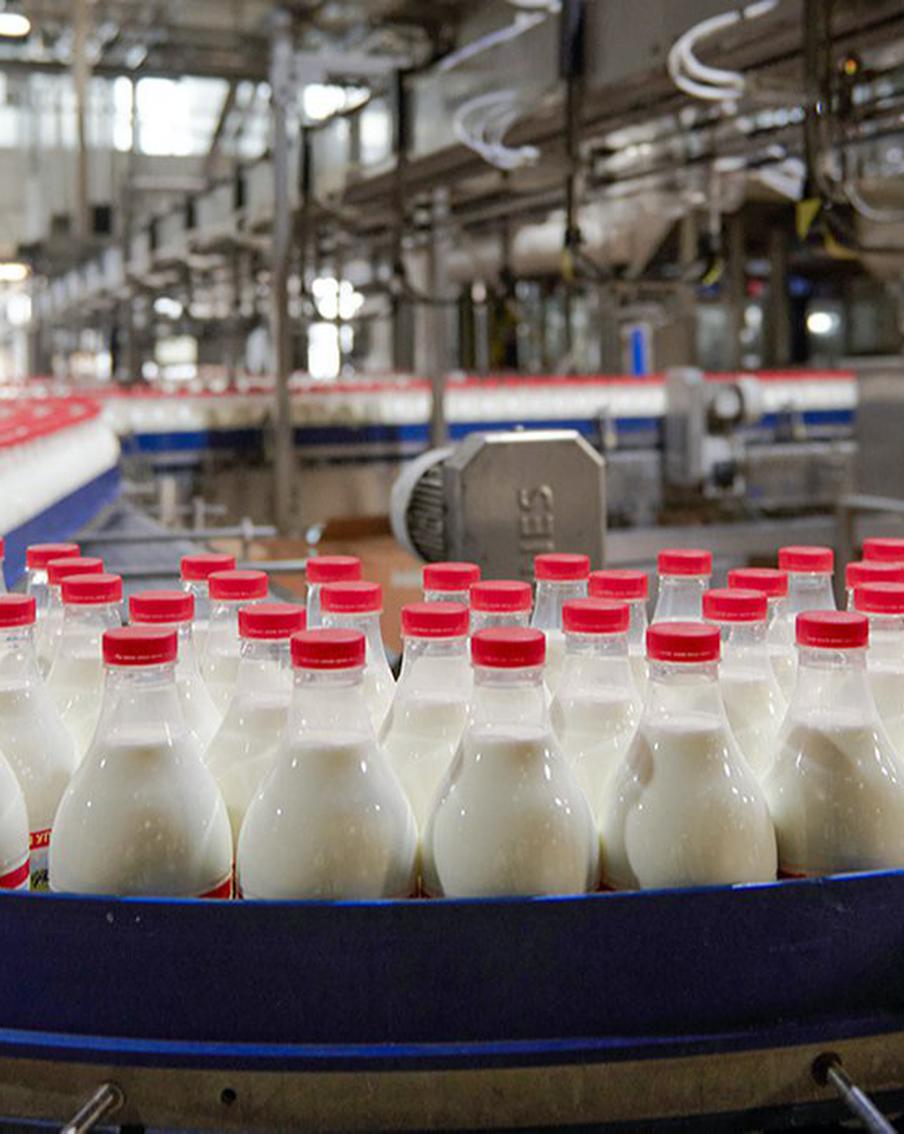 Москву доит вся страна: столица даёт молоко всей России