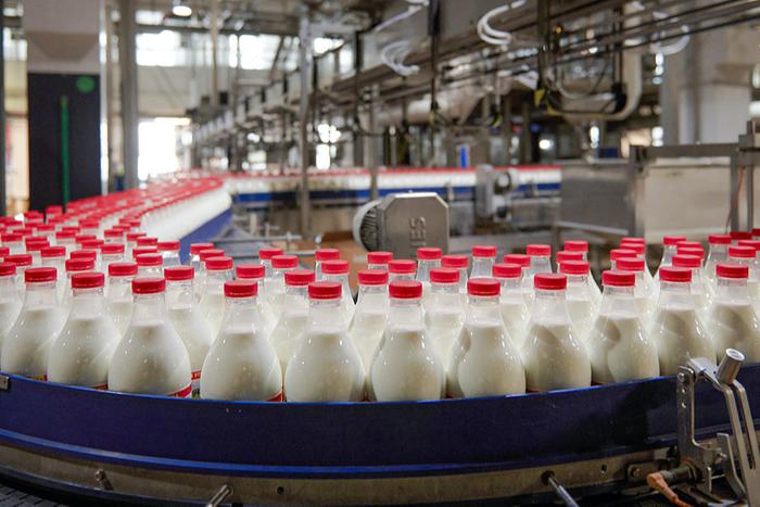 Москву доит вся страна: столица даёт молоко всей России