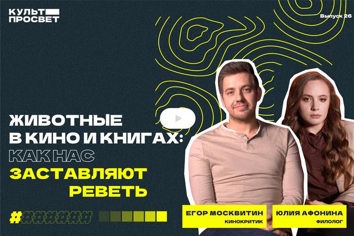 Хвостатые и шерстяные в главной роли: изучаем произведения о животных, которые помогают оставаться людьми