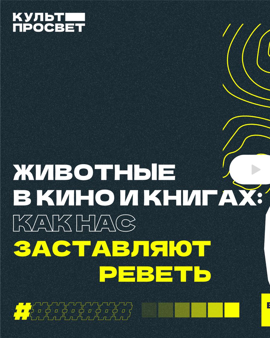 Хвостатые и шерстяные в главной роли: изучаем произведения о животных, которые помогают оставаться людьми