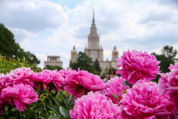 Горожане предлагают множество идей, которые позволяют развивать инфраструктуру Москвы