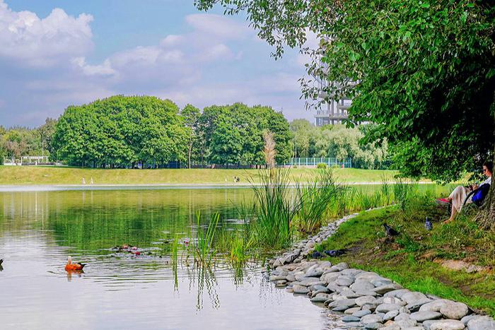 Москва водная: в столице полным ходом облагораживают водоёмы