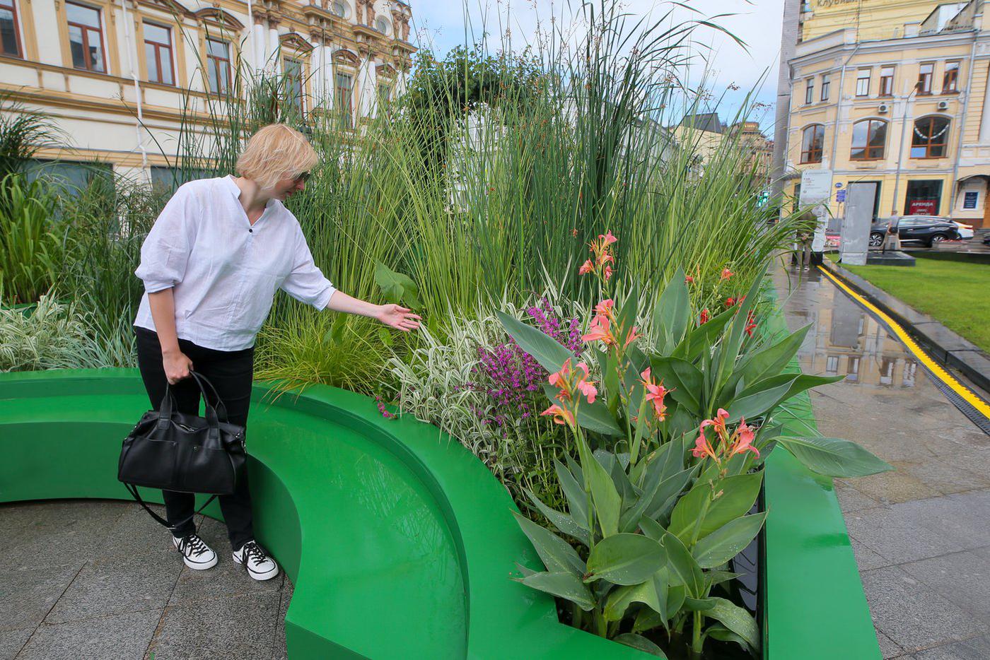 Необычный сад в бассейнах уже появился на площади перед ЦУМом, здесь растут ивы, бамбук, тростник и другие береговые растения.