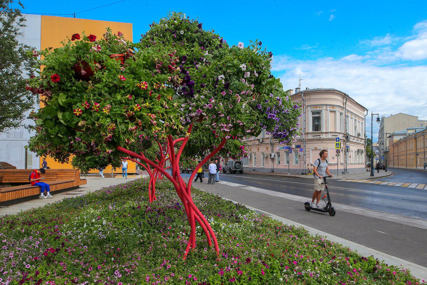 Гости увидят лучшие проекты прошлых лет и познакомятся с новыми ландшафтными решениями.