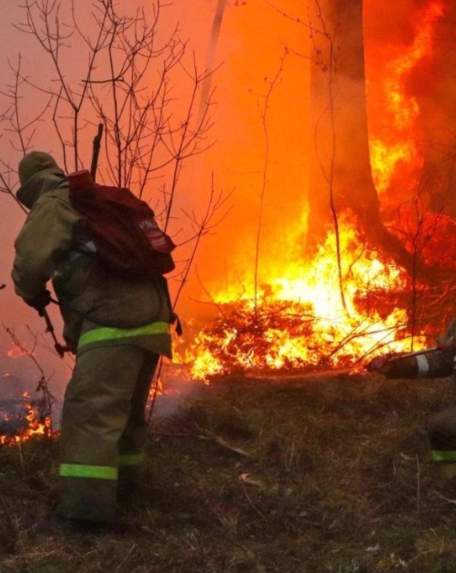 В России за сутки потушили 59 природных пожаров