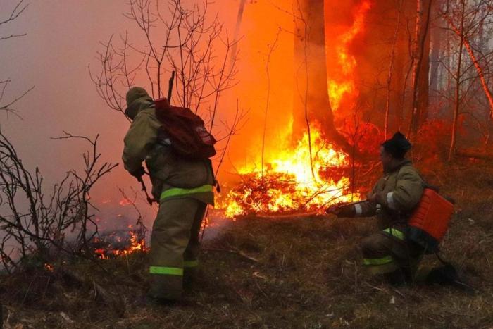В России за сутки потушили 59 природных пожаров