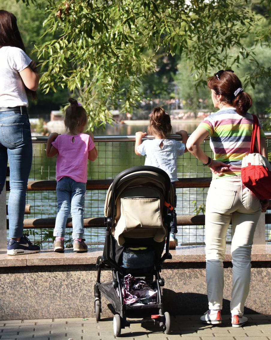 В СФ оценили идею о запрете увольнять матерей-одиночек с детьми до 16 лет