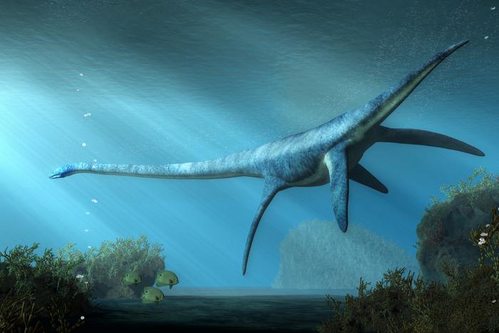 По всему миру есть водоёмы, в которых обитают загадочные существа: Metro вспомнило о самых легендарных из них