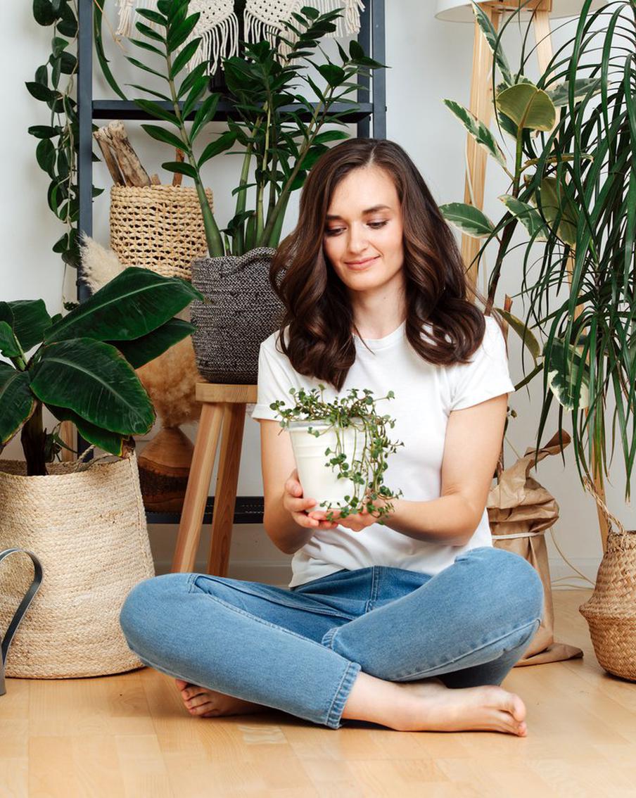 Комнатные растения выдают характер владельца: любители фикуса – бунтари, а гардении – ранимые