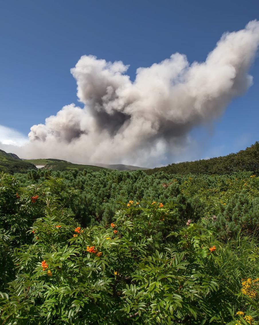Вулкан Эбеко на Курилах выбросил пепел на высоту три километра