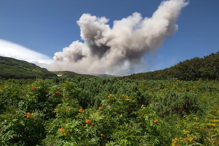 Вулкан Эбеко на Курилах выбросил пепел на высоту три километра
