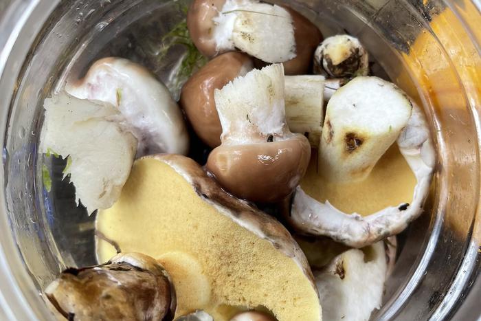 Сотрудникам ГКУ МО "Мособллес" стали чаще встречаться грибники