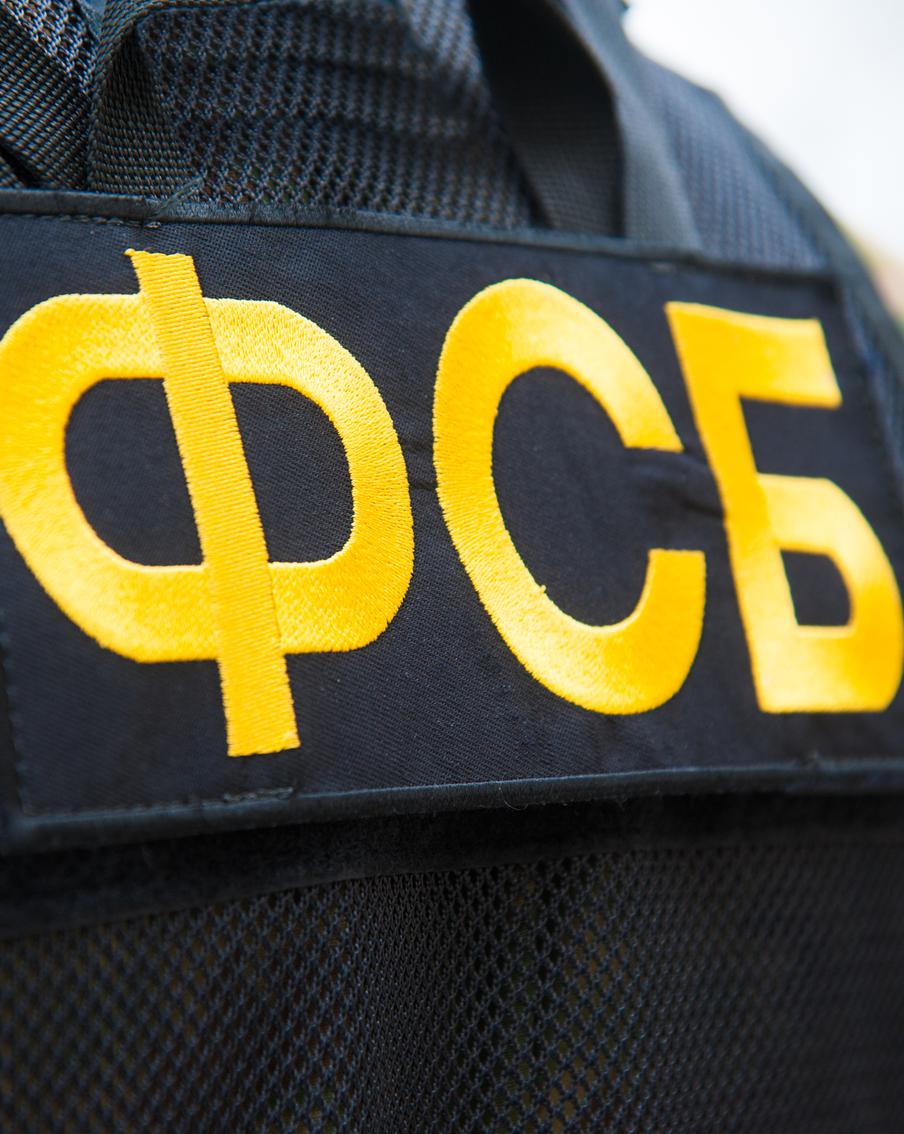 В Воронежской области задержали троих последователей идей неонацизма