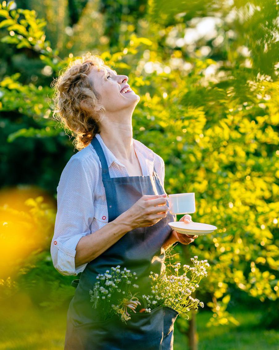 Какие дела в саду и огороде необходимо сделать в августе