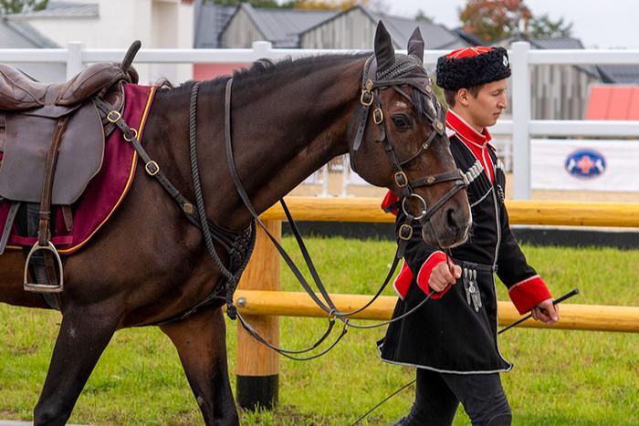 Собянин сообщил о планах возрождения Московского ипподрома