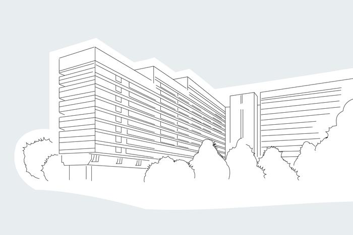 Балконы Чазовского дома превращали в зимний сад: Рубрика "Живут же люди" отправляется в Крылатское