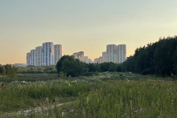 Синоптик рассказал жителям Москвы и Подмосковья о погоде в эту пятницу