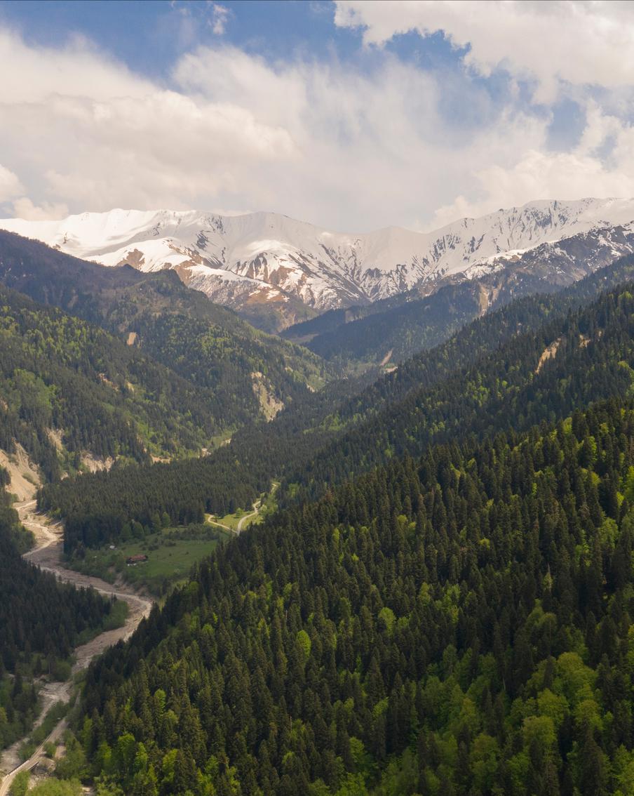 В Грузии увеличилось число погибших после схода оползня