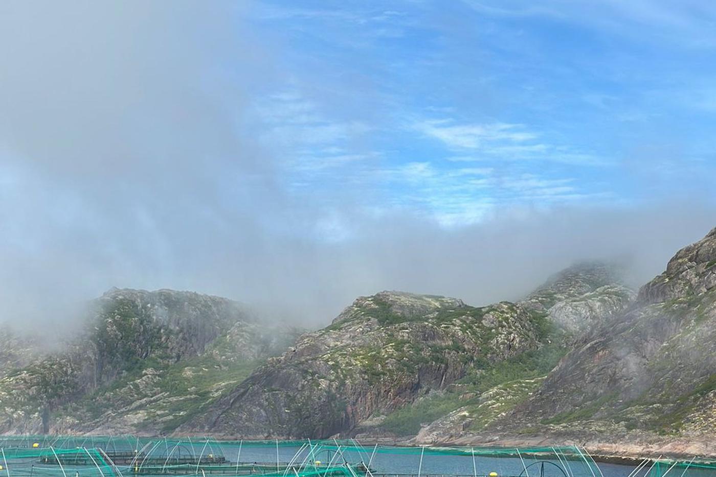 На Русском Севере лосось выращивают в уникальных условиях