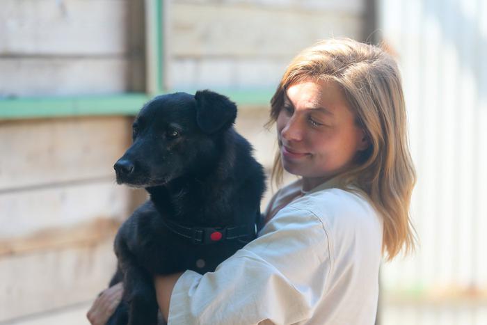 В августе московские приюты для животных устраивают день красивых фотографий