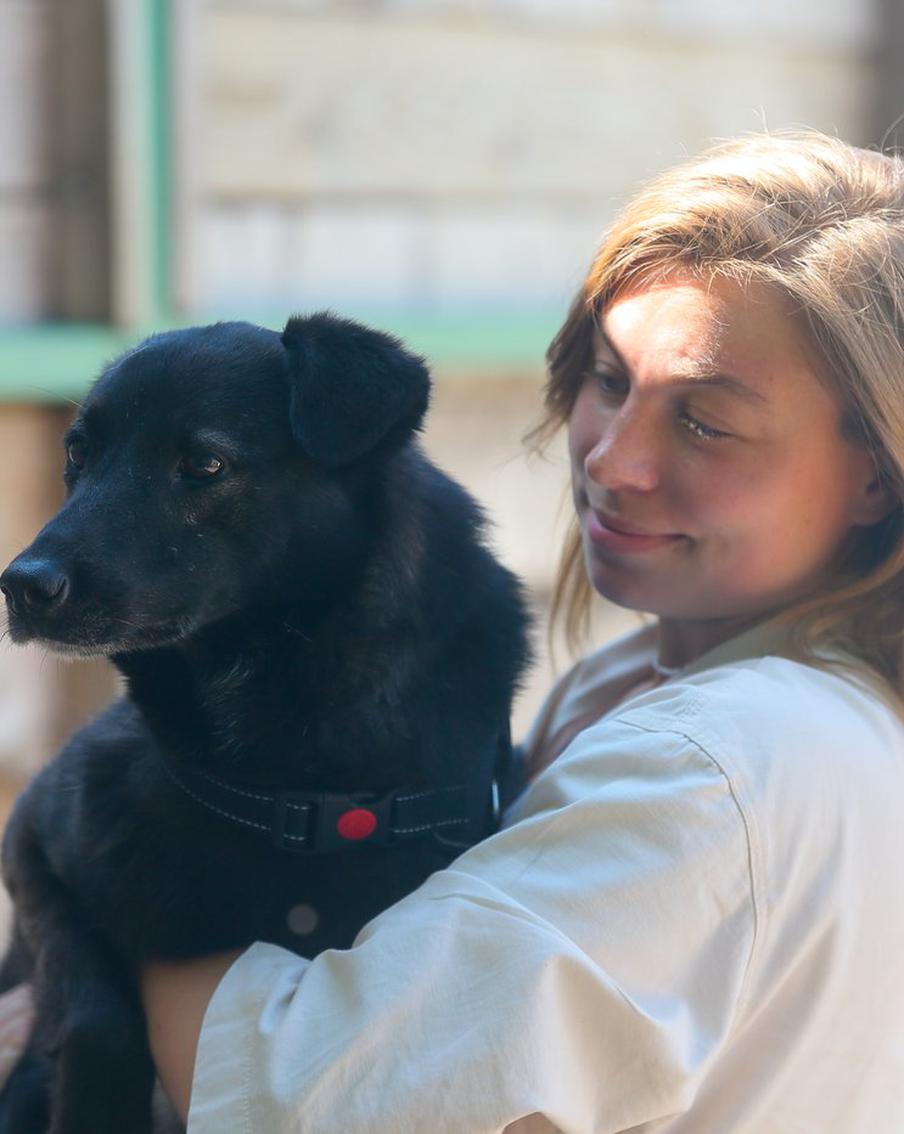 В августе московские приюты для животных устраивают день красивых фотографий