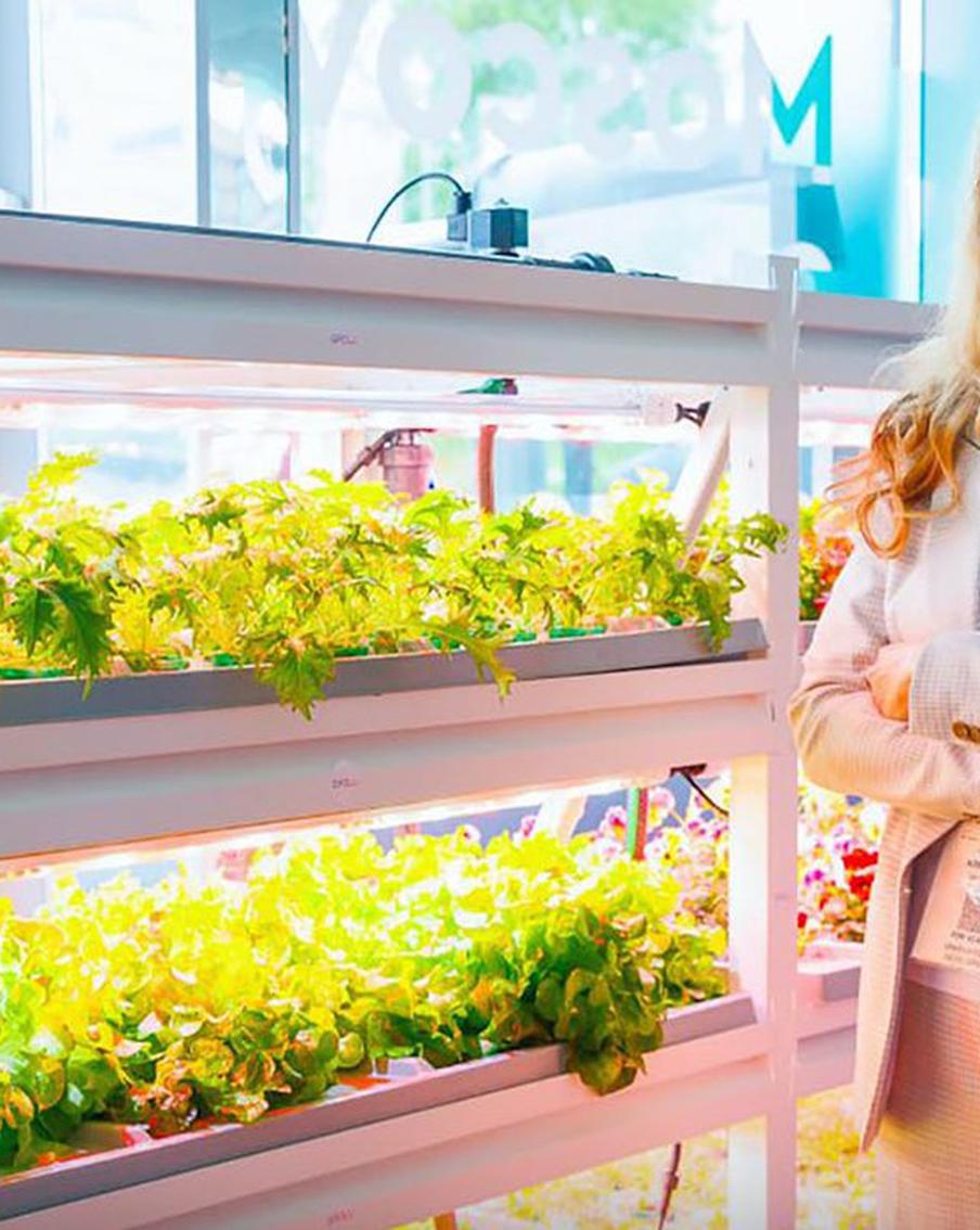 Москва помогает МСП: город активно помогает деньгами малым и средним предпринимателям