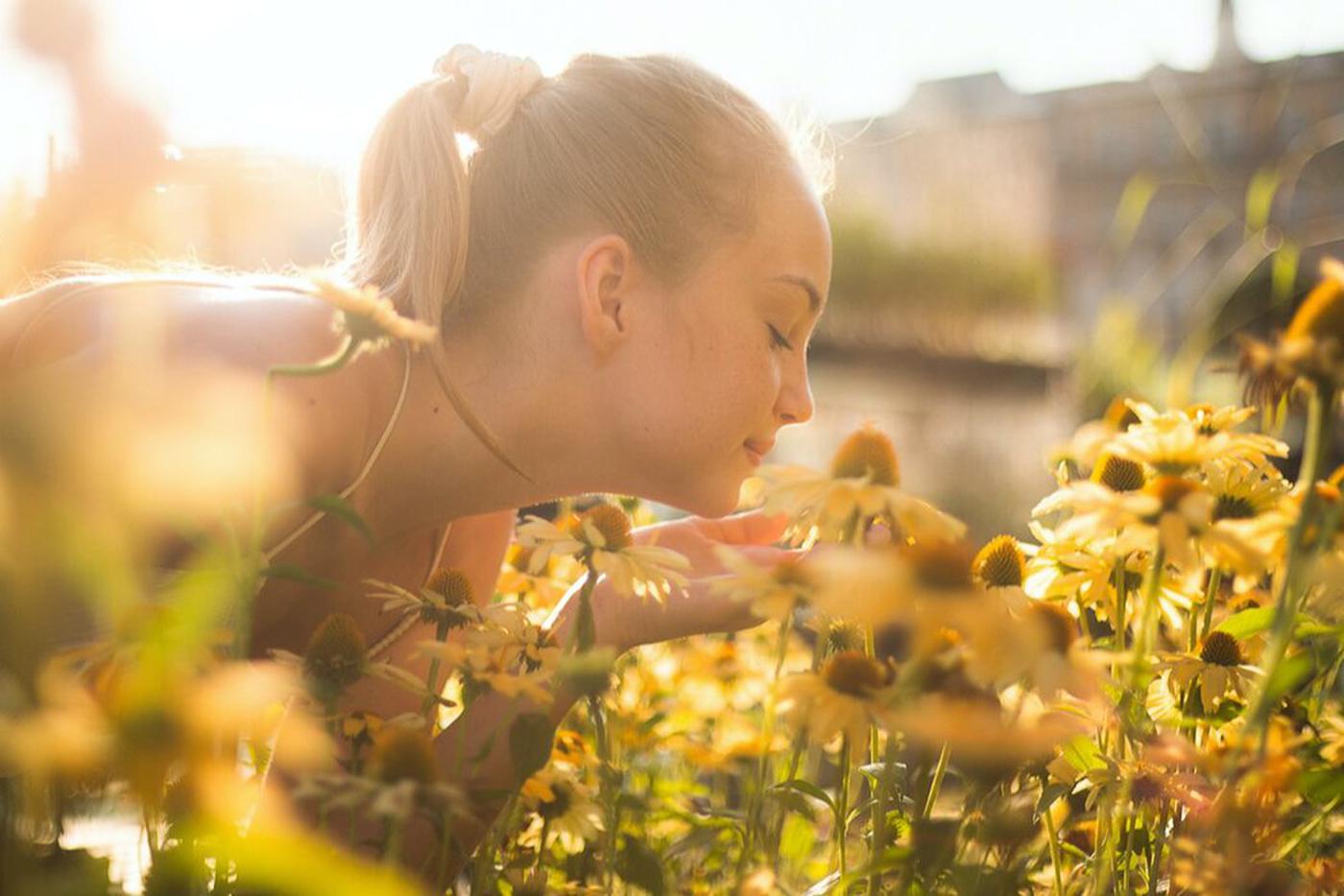 Площадку МУФ в "Лужниках" украшают топиарии в виде пасущихся лошадей
