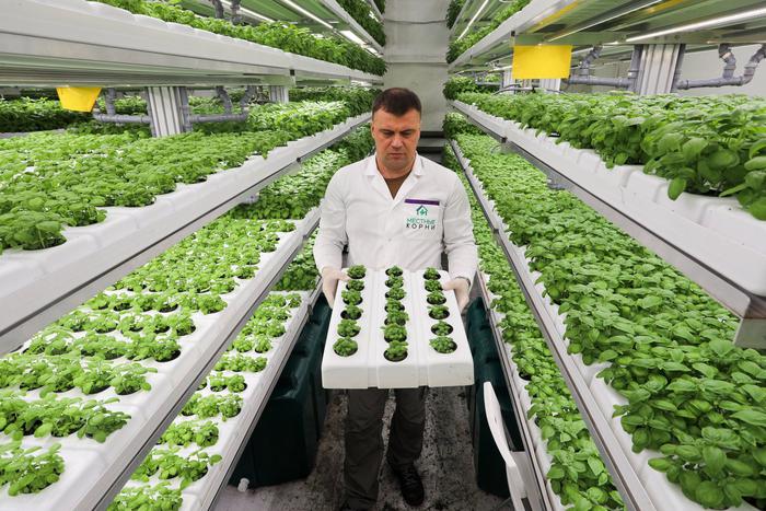 Москва предпринимательская: как малый и средний бизнес города получает финансовую поддержку от городских властей