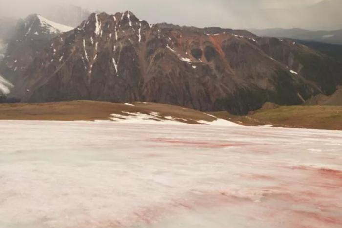В Республике Алтай порозовел ледник