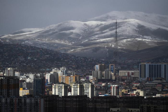 В Улан-Баторе подтвердили новый случай заболевания бубонной чумой