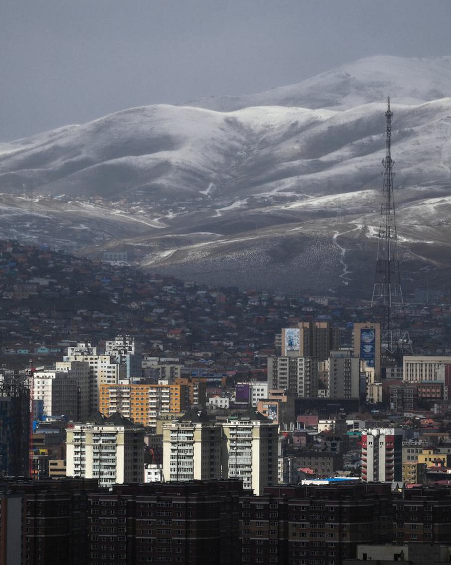 В Улан-Баторе подтвердили новый случай заболевания бубонной чумой