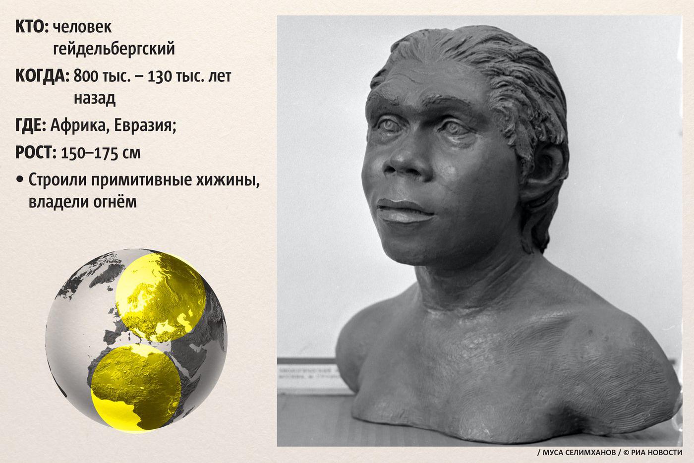 Человек гейдельбергский.