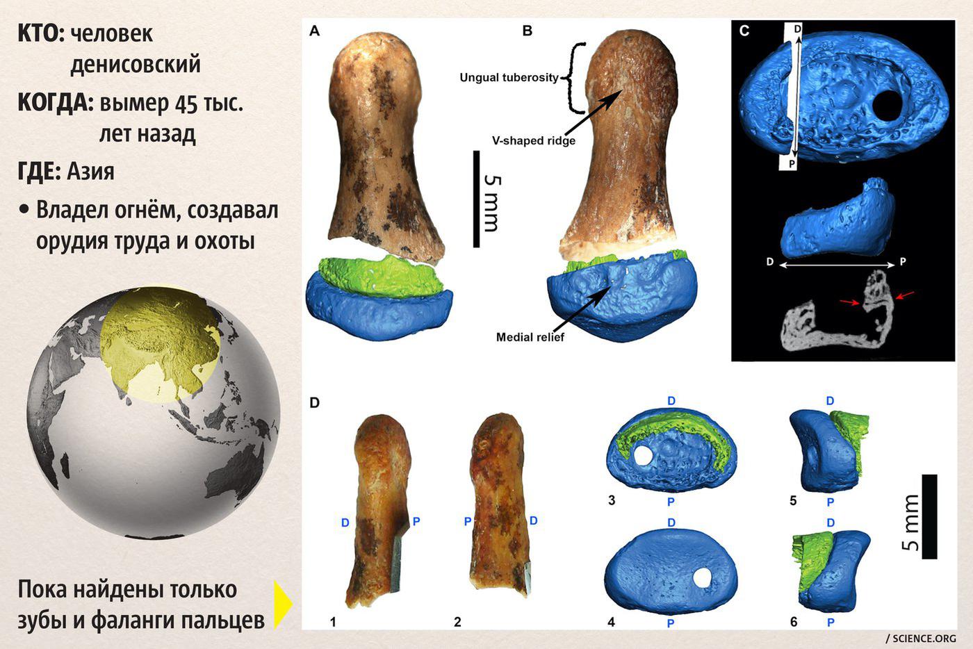 Денисовский человек.