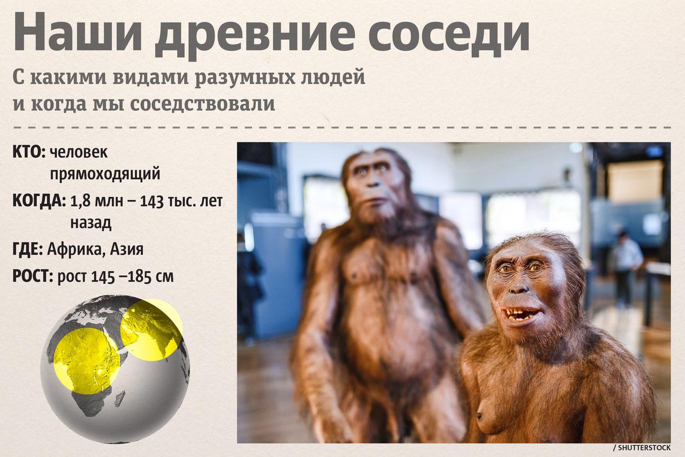 Человек прямоходящий.