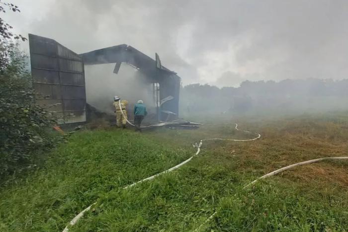 В Белгородской области мужчина получил осколочное ранение
