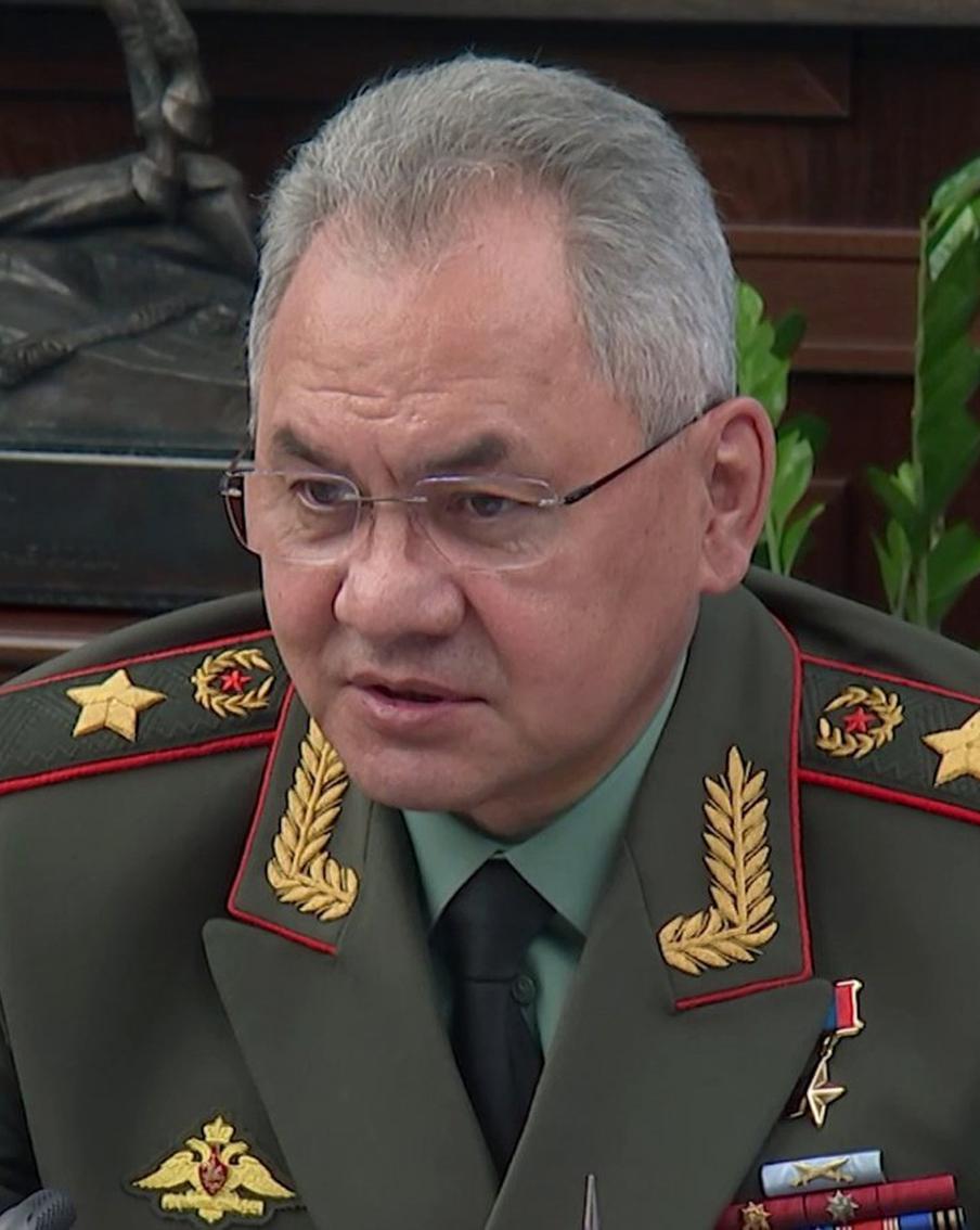 Шойгу сообщил о планах Польши создать соединение для оккупации Западной Украины